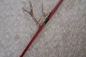 Bows